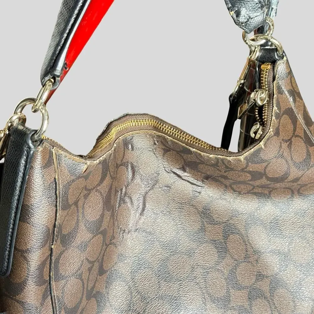 Coach signature celeste
